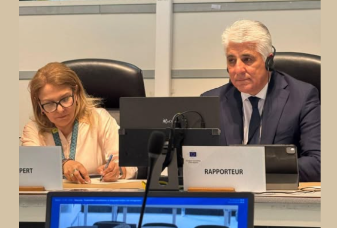 Δ. Καφαντάρης: «Κεντρικός ο ρόλος της Τοπικής Αυτοδιοίκησης στην ευρωπαϊκή ανθεκτικότητα απέναντι στις δασικές πυρκαγιές»